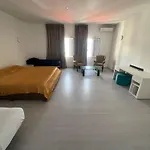 Hostel Huge Penthouse With Private Shared Terrace And Kitchen Views *